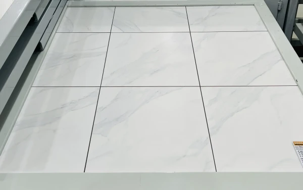 Statuario-matte-wall-scaled