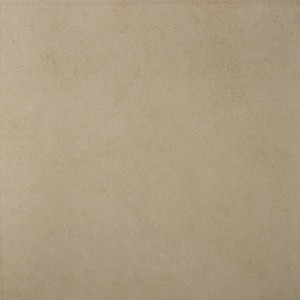 Indiana Latte gloss BIN54145A non-rectified 450x450