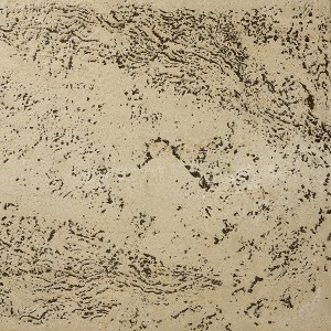 Pan Di Stelle Almond 449x449