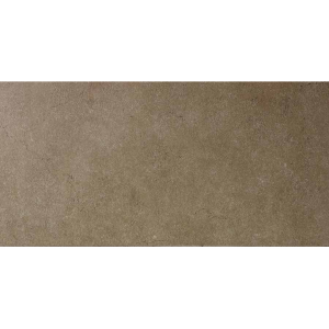 Tobacco matte rectified 100x600