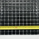 1860 super black 23 IMG_5469