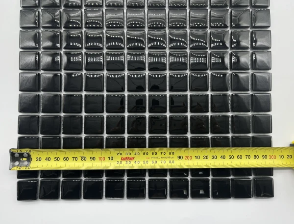 1860 super black 23 IMG_5469