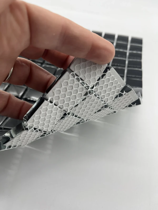 1860 super black 23 IMG_5471