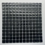 1860 super black 23 IMG_E5474