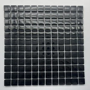 1860 super black 23 IMG_E5474