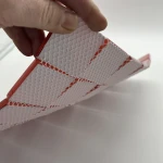 316 Ferrara 48 IMG_5318