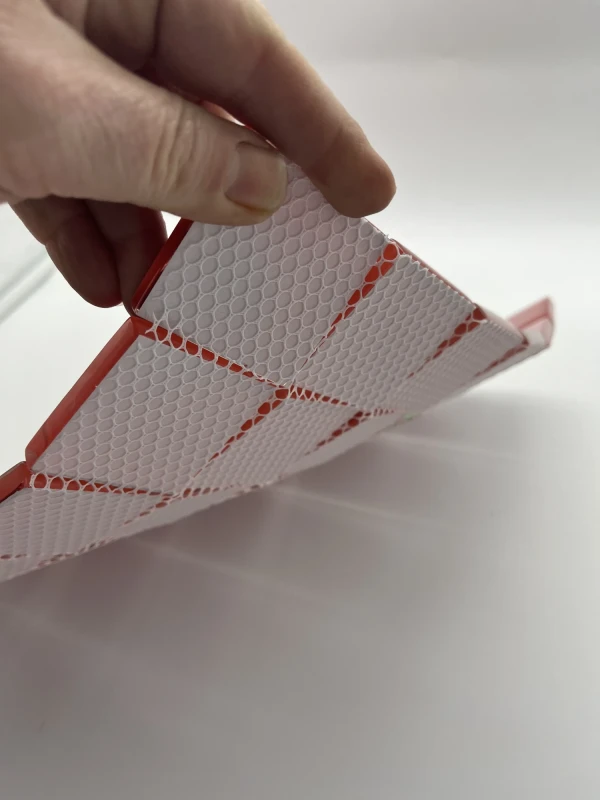 316 Ferrara 48 IMG_5318